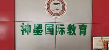 校外培訓(xùn)機構(gòu)整治工作有喜有憂，文化藝術(shù)交流活動策劃如何助力教育生態(tài)優(yōu)化